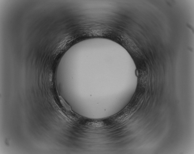 X0000097810548200804041339