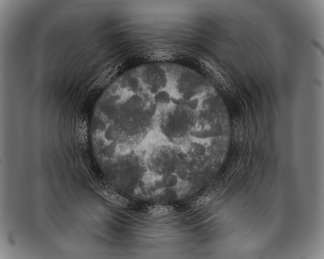 X0000097810549200804041339