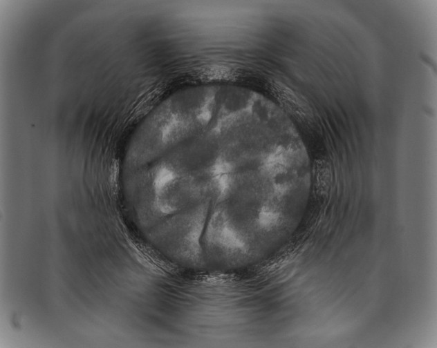 X0000097810550200804041339