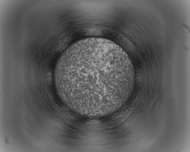 X0000097810551200804041339