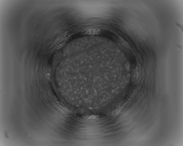 X0000097810553200804041339