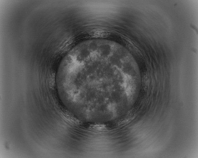 X0000097810554200804041339