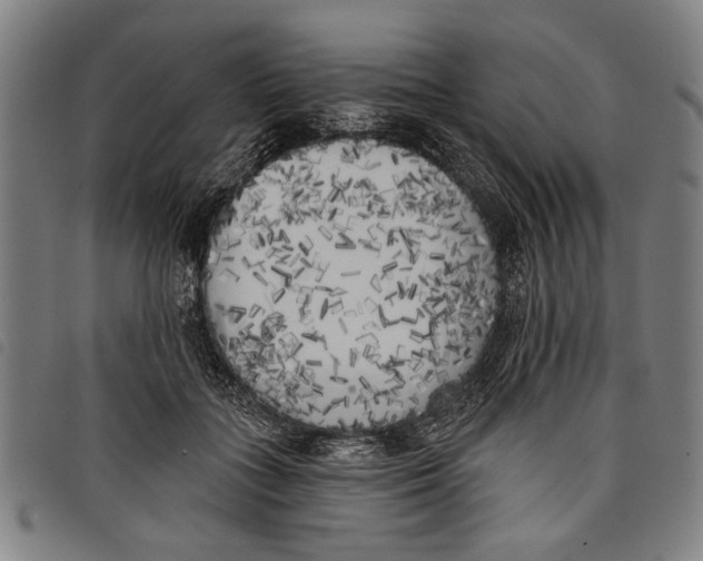 X0000097810555200804041339