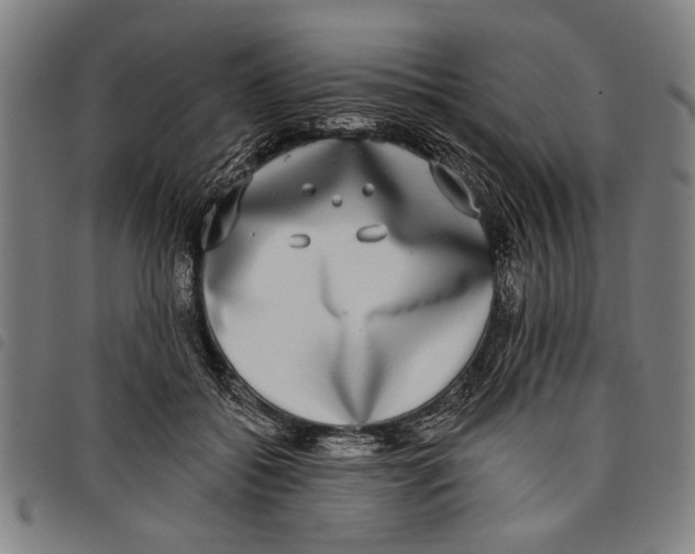 X0000097810556200804041339