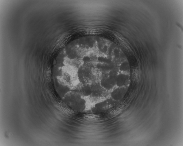 X0000097810557200804041339