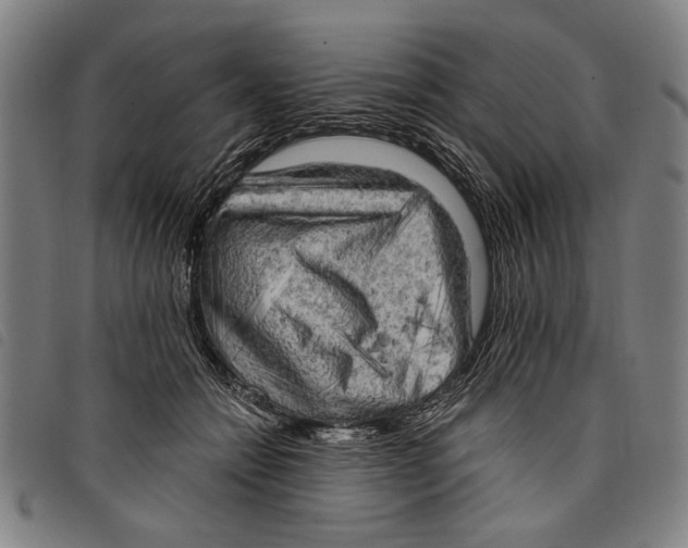 X0000097810558200804041339