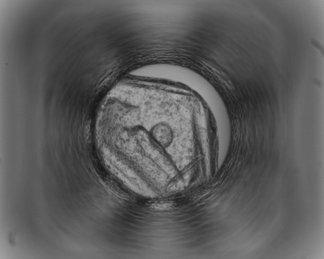 X0000097810560200804041339