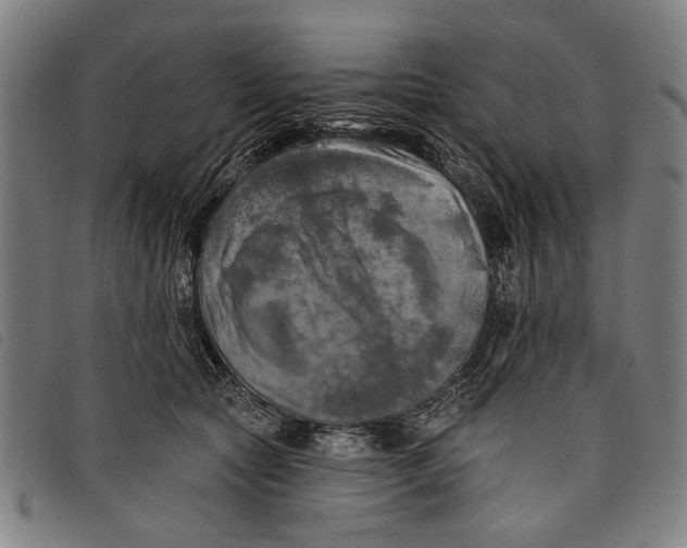 X0000097810561200804041339