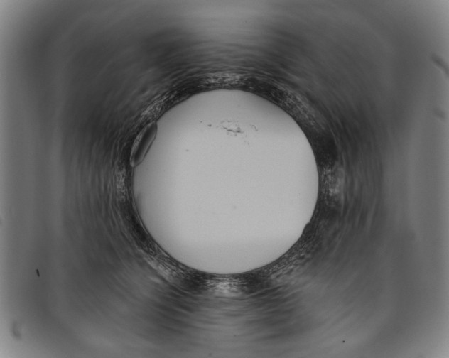 X0000097810564200804041339