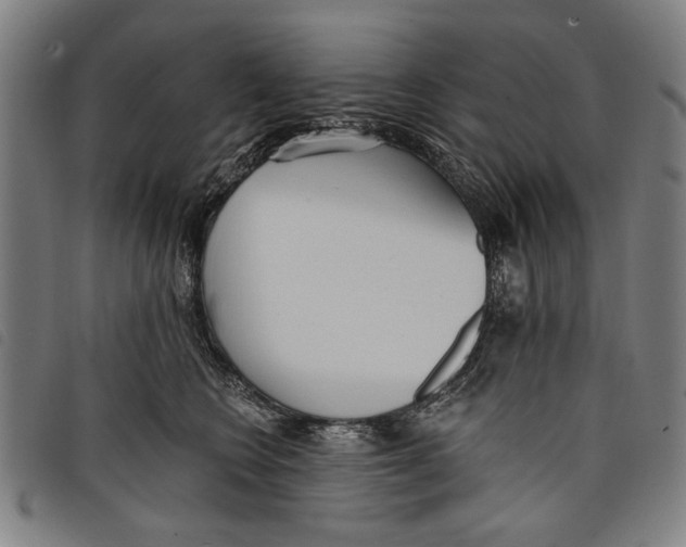 X0000097810566200804041339