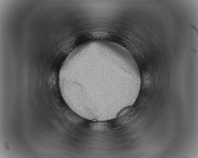 X0000097810567200804041339