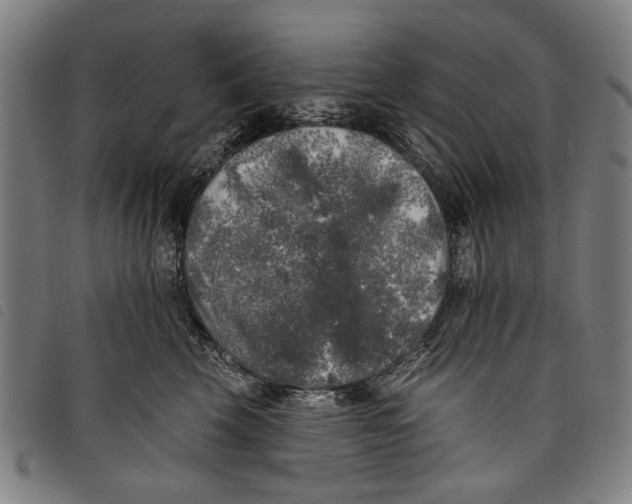 X0000097810569200804041339