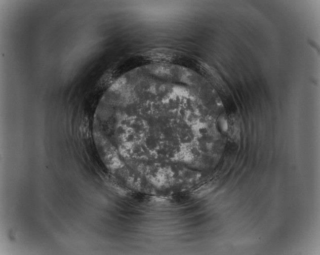 X0000097810573200804041339