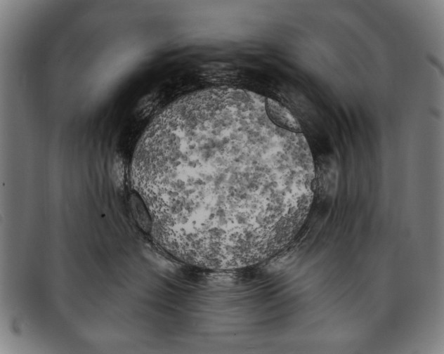 X0000097810574200804041339