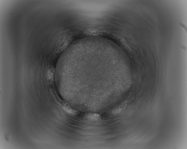 X0000097810576200804041339