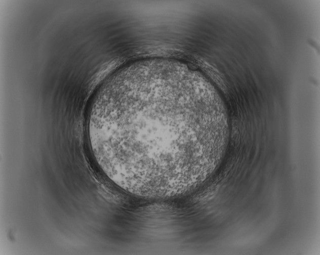 X0000097810578200804041338