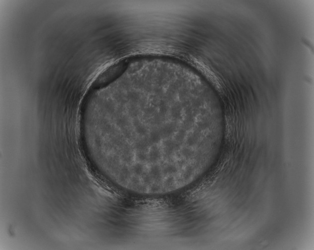 X0000097810580200804041338