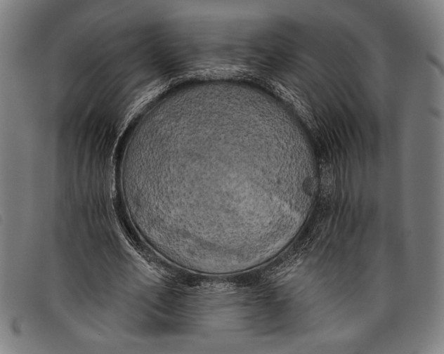 X0000097810582200804041338