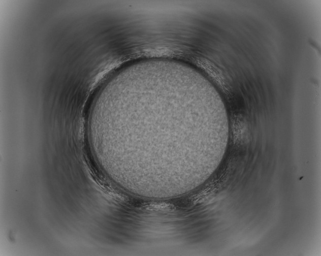 X0000097810583200804041338