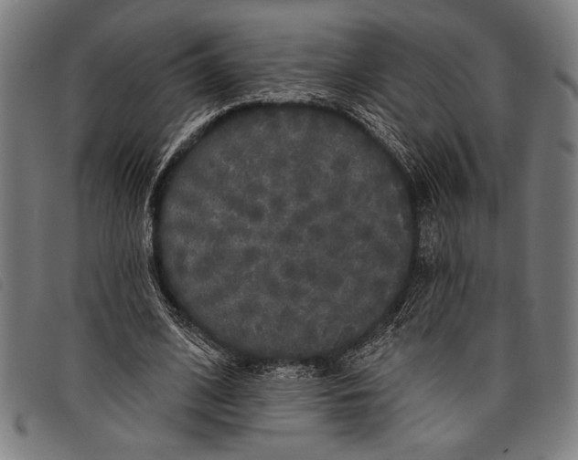 X0000097810584200804041338