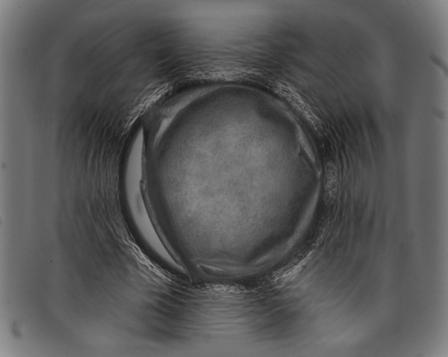 X0000097810585200804041338