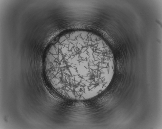 X0000097810588200804041338