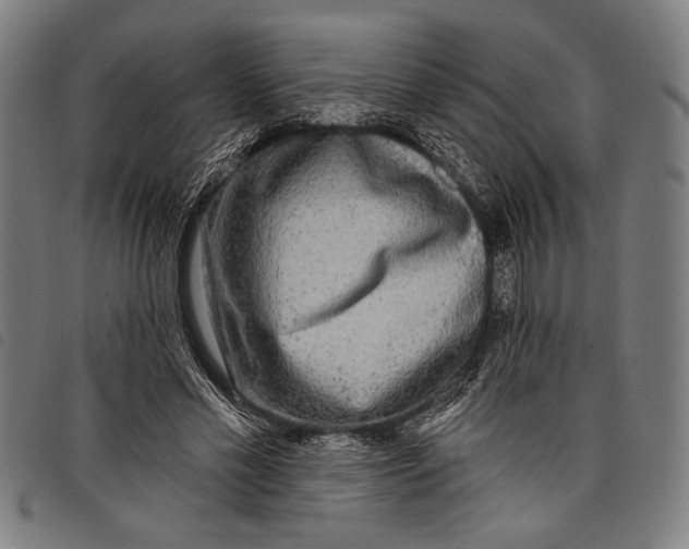 X0000097810589200804041338