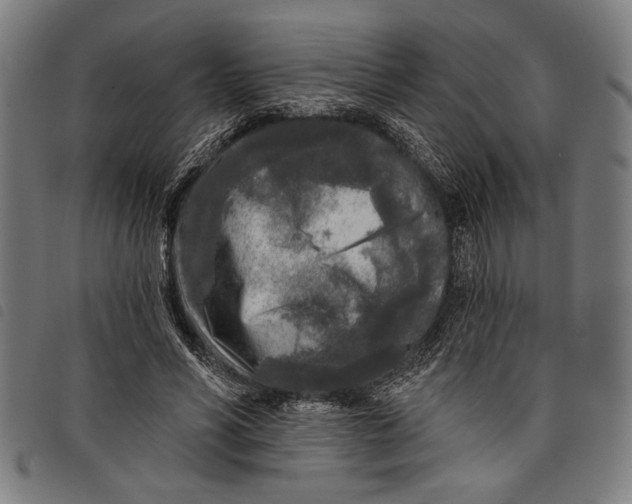 X0000097810590200804041338