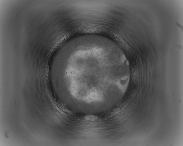 X0000097810591200804041338