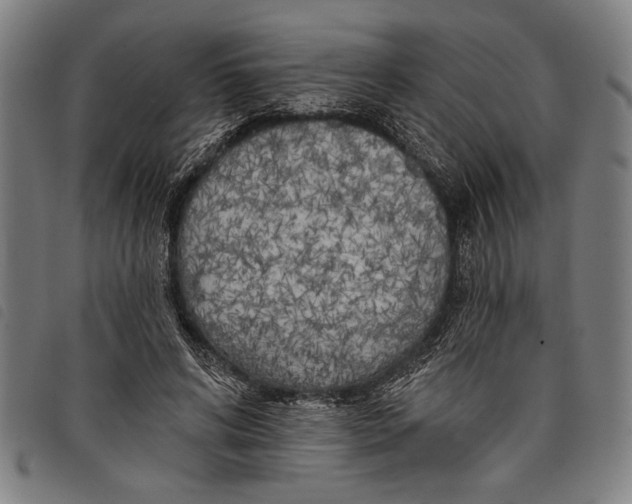 X0000097810592200804041338