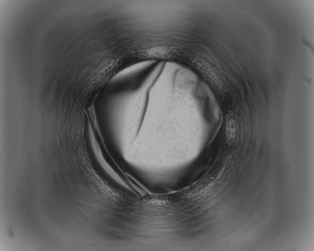 X0000097810593200804041338