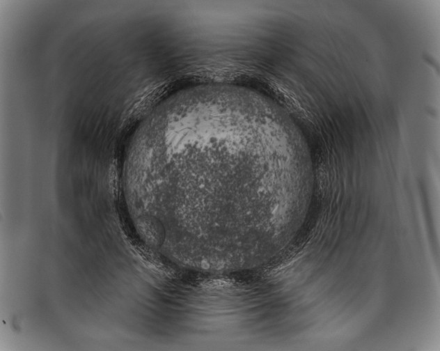 X0000097810594200804041338