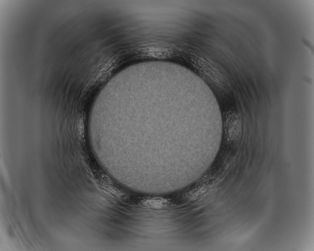 X0000097810595200804041338