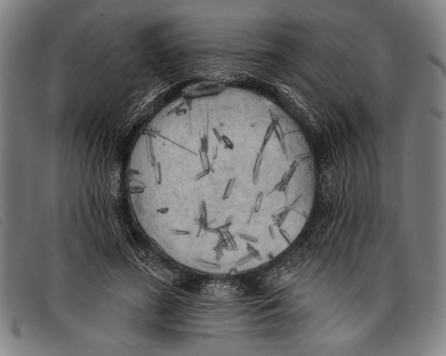 X0000097810596200804041338