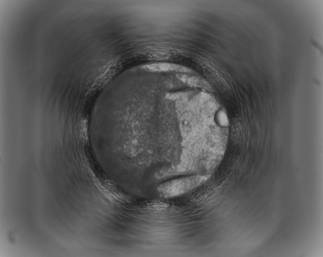 X0000097810598200804041338