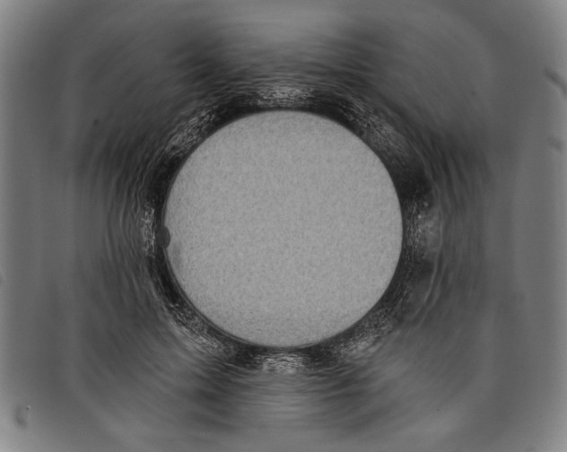 X0000097810599200804041338