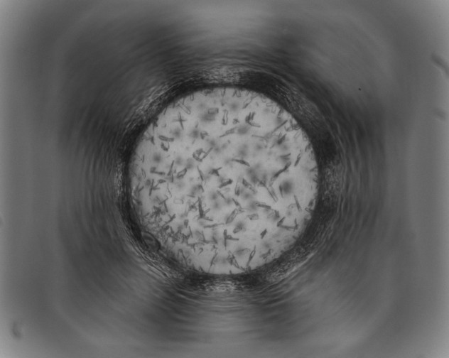 X0000097810600200804041338