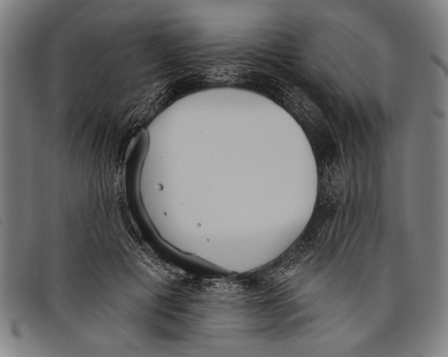 X0000097810601200804041338