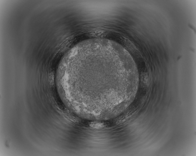 X0000097810602200804041338