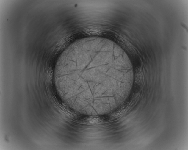 X0000097810604200804041338