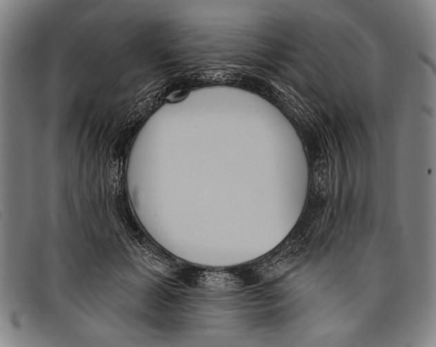 X0000097810605200804041338