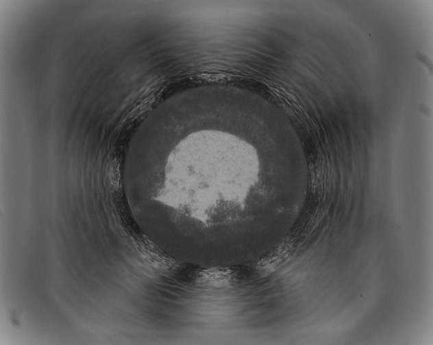 X0000097810606200804041338