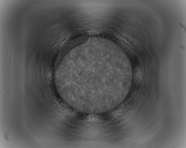 X0000097810608200804041338