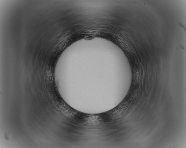 X0000097810609200804041338