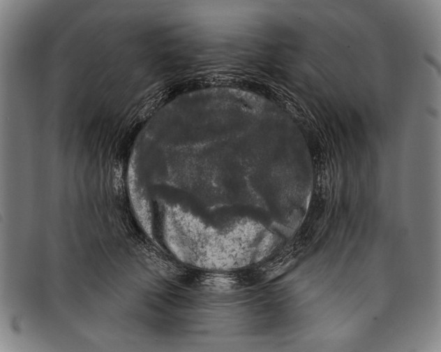 X0000097810610200804041338