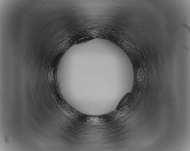 X0000097810611200804041338