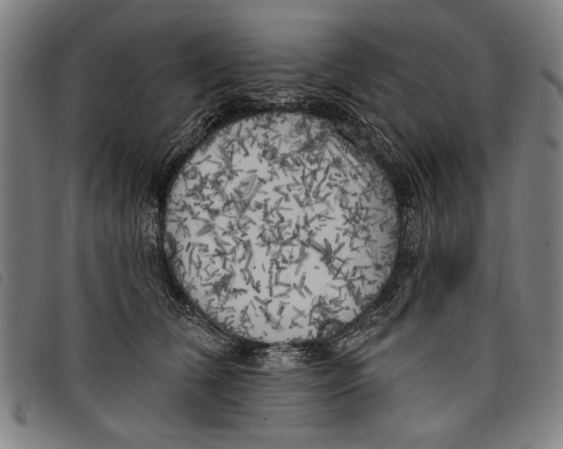 X0000097810612200804041338