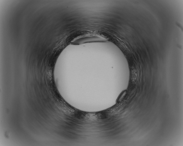 X0000097810613200804041338