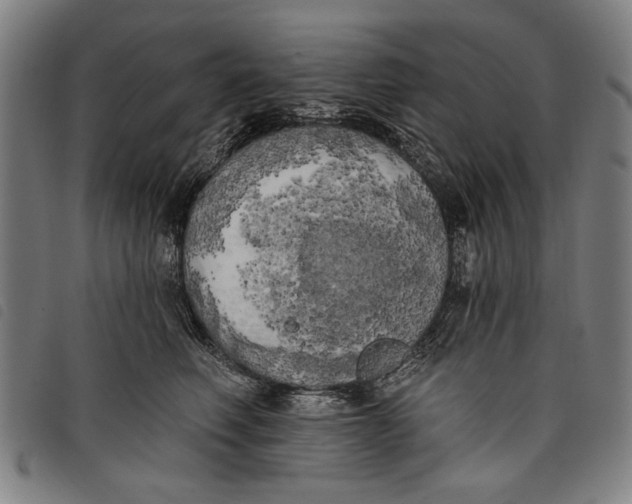 X0000097810614200804041338