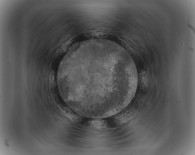 X0000097810615200804041338